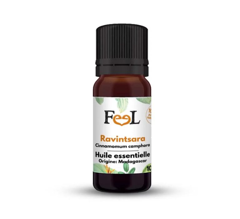Ravintsara : bienfaits, propriétés & vertus de l'huile essentielle